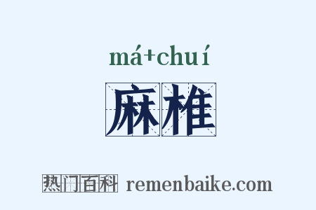麻椎是什么意思的图片